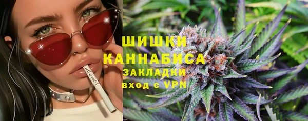 индика Балабаново
