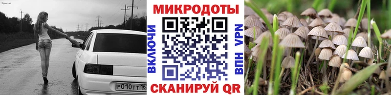 блэк спрут ссылка  Кувандык  Галлюциногенные грибы Cubensis 
